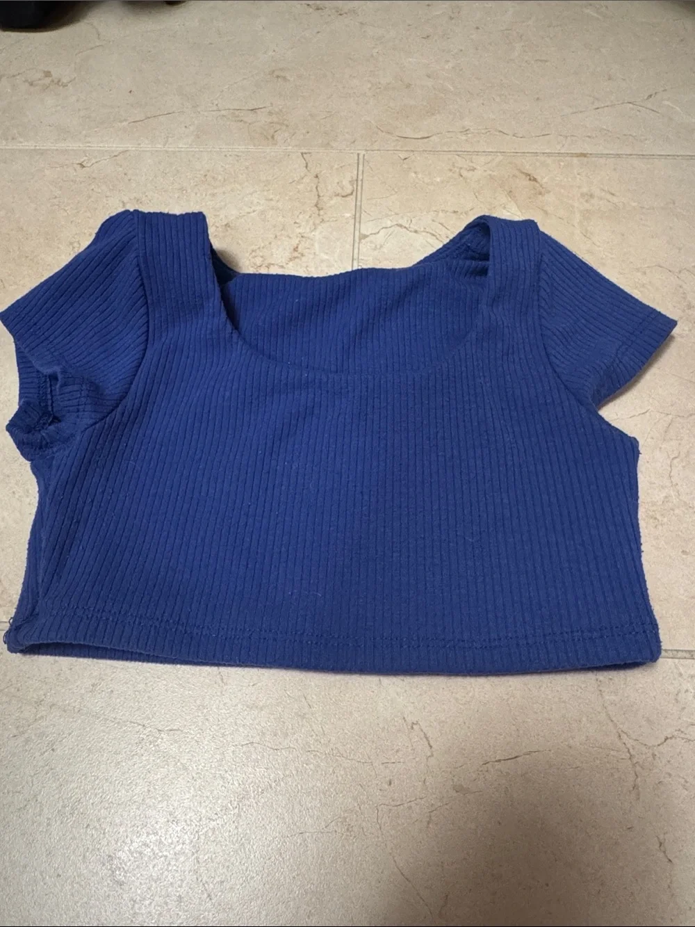 Tiger Friday Blue Crop Top